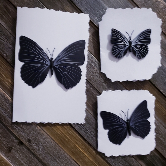 Meet Kayla Ellise - Picture 6 of 16